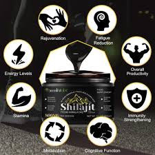 Shilajit Pur de l'Himalaya 800mg - Résine Premium Acentralabs 60g